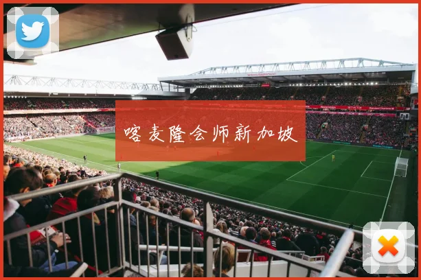 喀麦隆会师新加坡