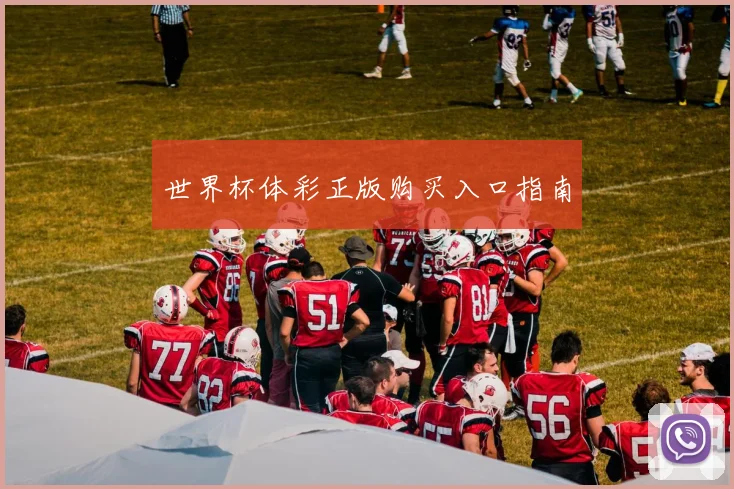 世界杯体彩正版购买入口指南
