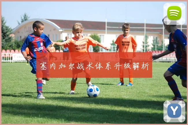 塞内加尔战术体系升级解析